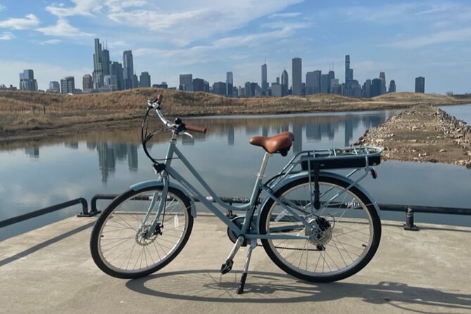 2 Hour Chicago Landmarks & Lakefront E-Bike Tour - Starting Near Millennium Park and Milton Lee Olive Park