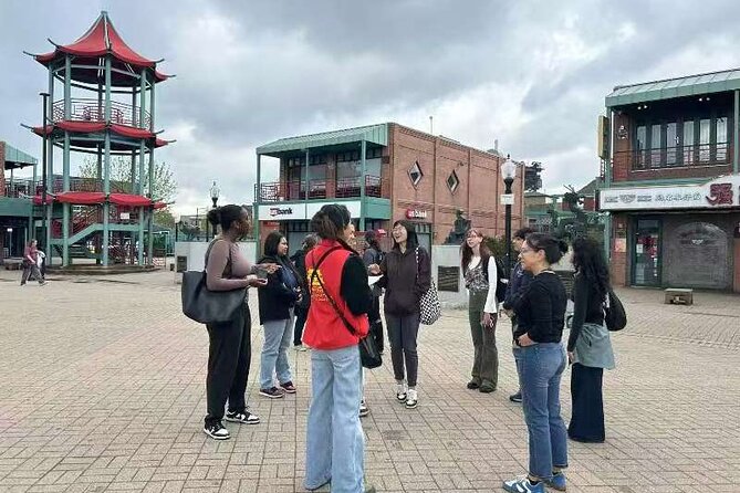 2-Hour Chicago's Chinatown History and Culture Tour - Starting among zodiac animals at Chinatown Square