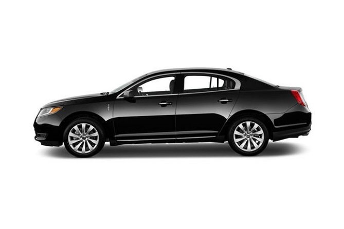 Chicago 4-Hour Sightseeing Transfer by Luxury Private Sedan - What you will and will not learn about Chicago
