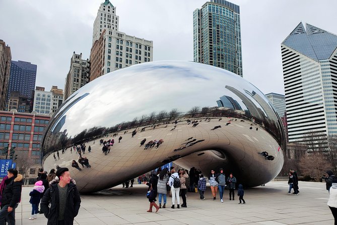 Chicago City Minibus Tour - The Magnificent Mile, Gold Coast, and Chicago neighborhoods