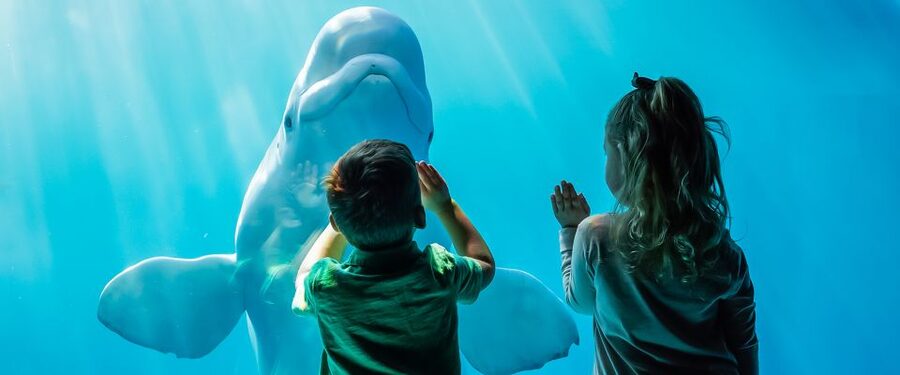 Chicago CityPASS®: Save up to 49% at 5 Top Attractions - 360 CHICAGO: another view, but know what costs extra