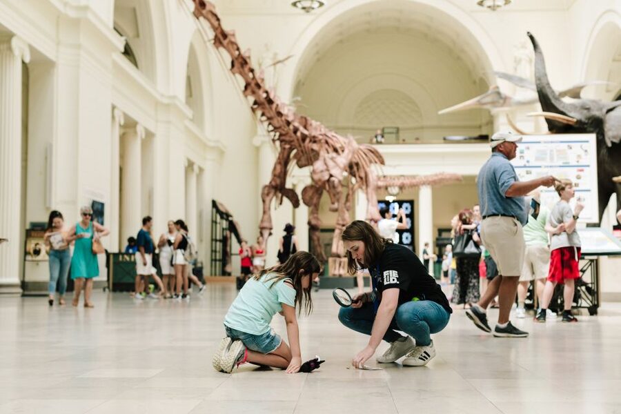 Chicago Explorer Pass: 2 to 7 Attractions including SkyDeck - Big Bus Chicago and easy city orientation
