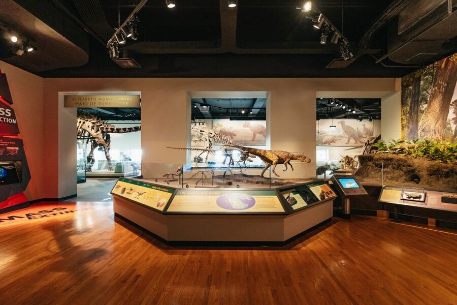 Chicago: Field Museum of Natural History Ticket or VIP Tour - Who should book this experience?