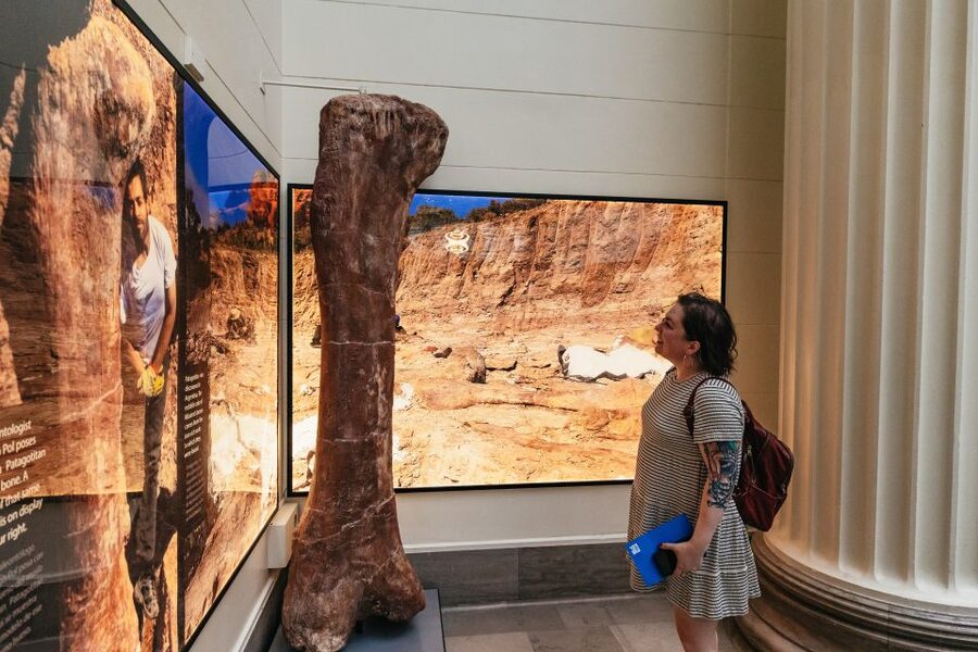 Chicago: Field Museum of Natural History Ticket or VIP Tour - Why Sue and Maximo make this museum special
