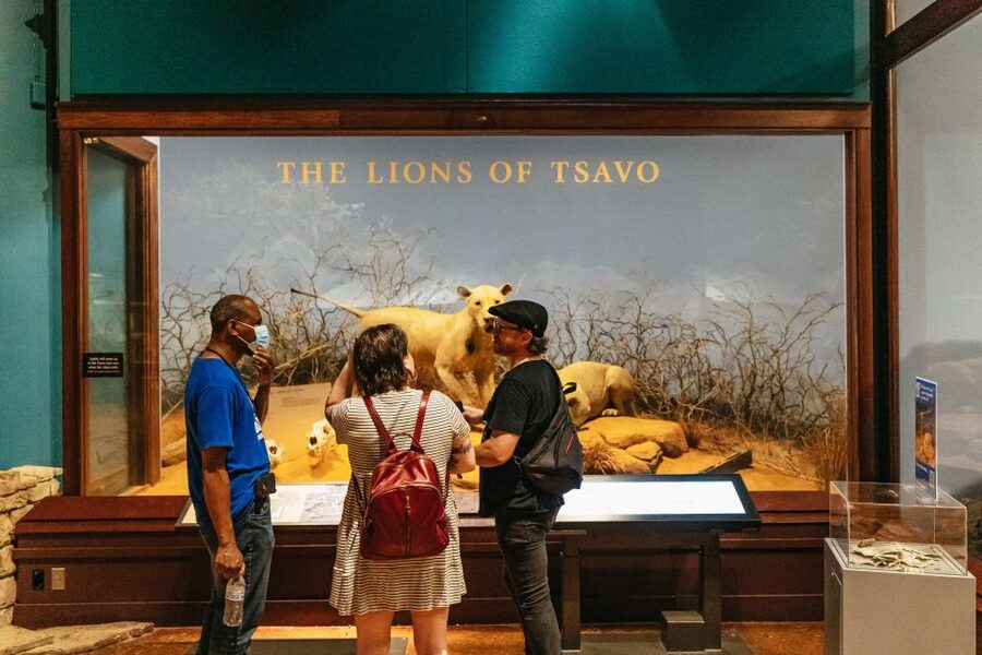 Chicago: Field Museum of Natural History Ticket or VIP Tour - What you will see beyond the dinosaurs
