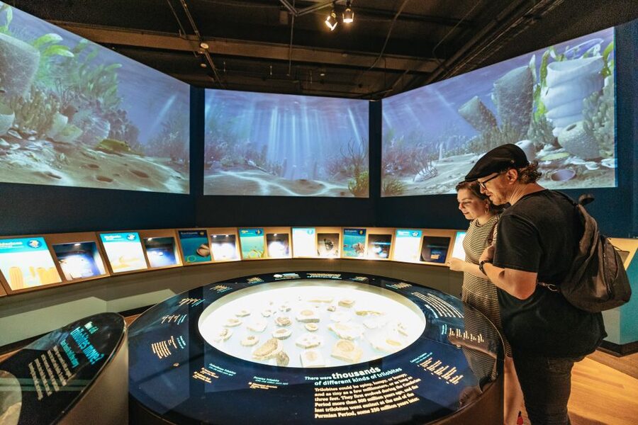 Chicago: Field Museum of Natural History Ticket or VIP Tour - The Egyptian tomb complex and ancient cultures