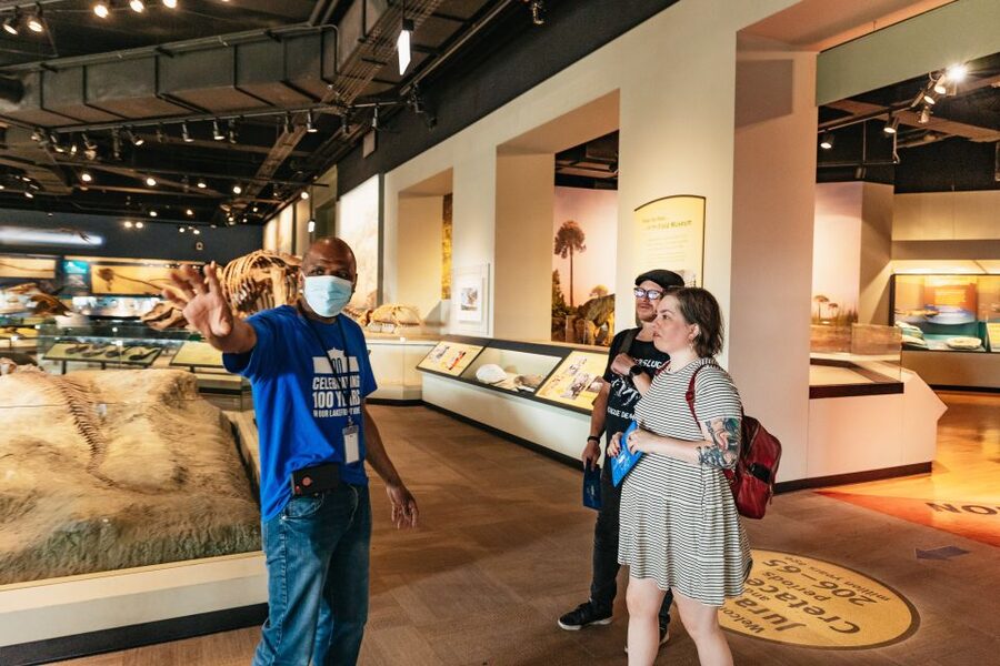 Chicago: Field Museum of Natural History Ticket or VIP Tour - How long to spend inside