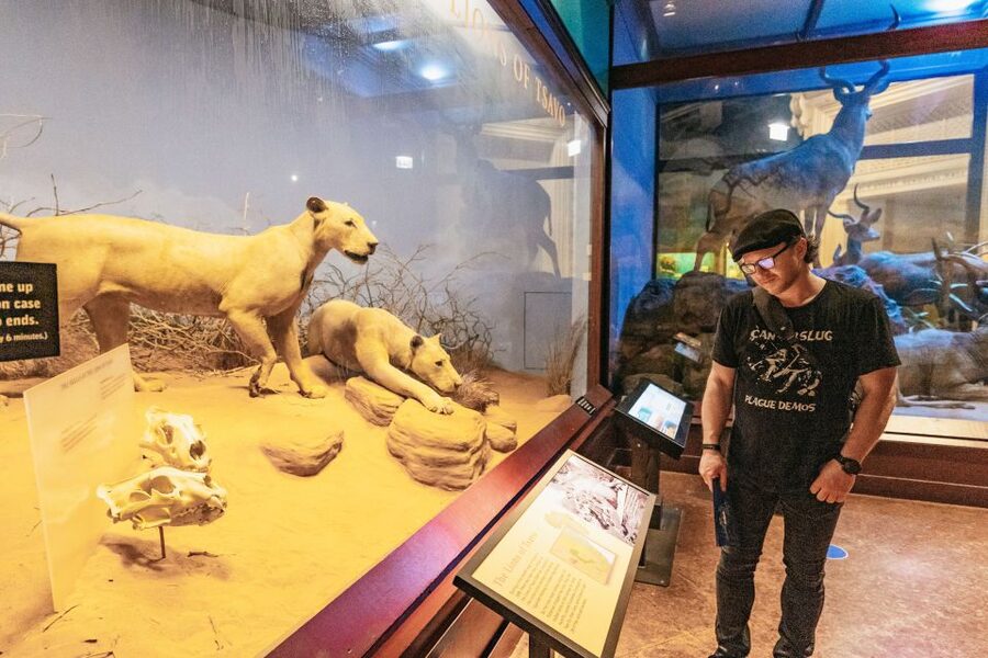 Chicago: Field Museum of Natural History Ticket or VIP Tour - Food, parking, and small practical matters