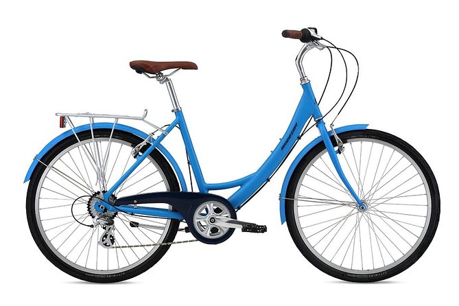Chicago Full Day Bike Rental - Why a Chicago bike rental works so well