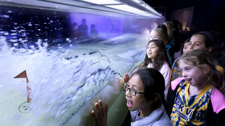 Chicago: Griffin Museum of Science and Industry Ticket - Why this Chicago museum deserves a full day