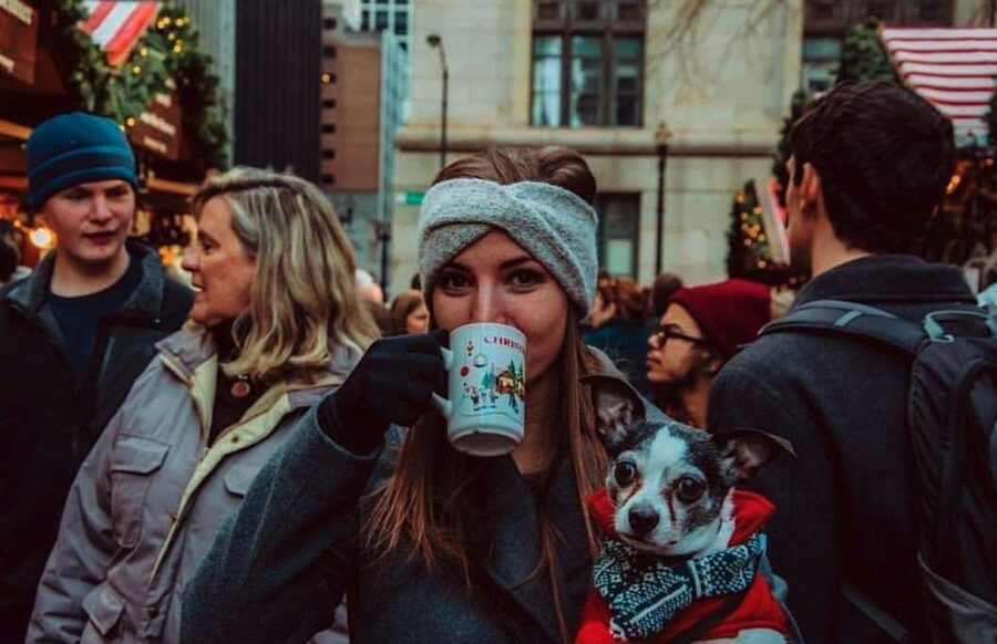 Chicago: Guided Holiday Walking Tour and Food Sampling - Key points to know before booking