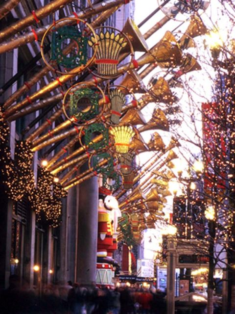 Chicago: Guided Holiday Walking Tour and Food Sampling - How the guide shapes the experience