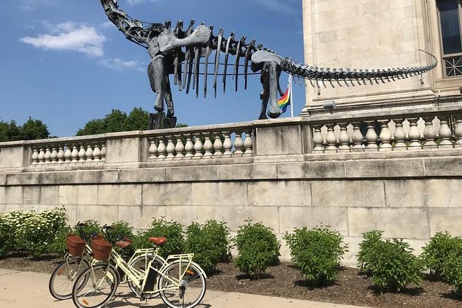 Chicago Lakefront Electric Bike Tour - Adler Planetarium and the Chicago Skyline