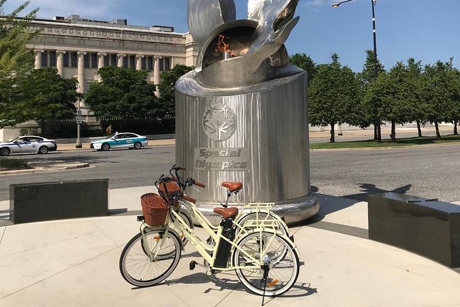 Chicago Lakefront Electric Bike Tour - Why the Private Format Matters