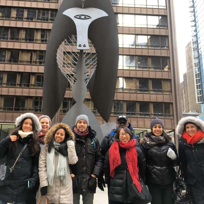 Chicago Loop: Art, Skyscrapers, Millennium Park & "The Bean" - What $49 buys you