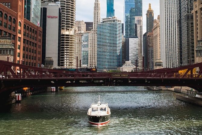 Chicago Luxury Minibus City Tour and Architecture River Cruise - What the minibus adds that the boat cannot