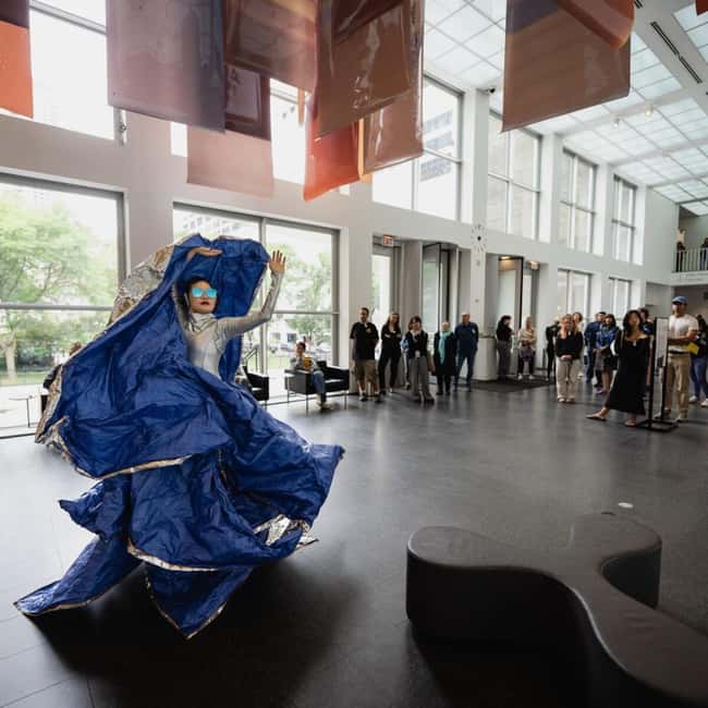 Chicago: Museum of Contemporary Art (MCA) Entry Ticket - Art as action, participation, and social responsibility