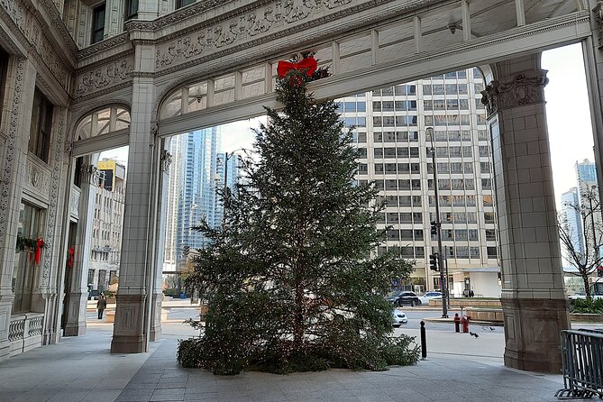 Chicago Seasonal Stroll Walking Tour of Holiday Attractions - The Magnificent Mile and the Michigan Avenue Bridge
