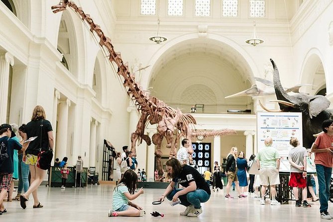 Field Museum of Natural History Admission Tickets - Why SUE is only the beginning