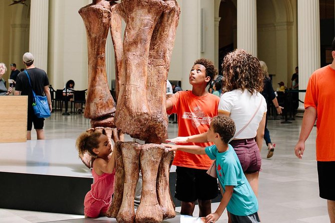 Field Museum of Natural History Admission Tickets - Ancient Americas and 13,000 years of human history
