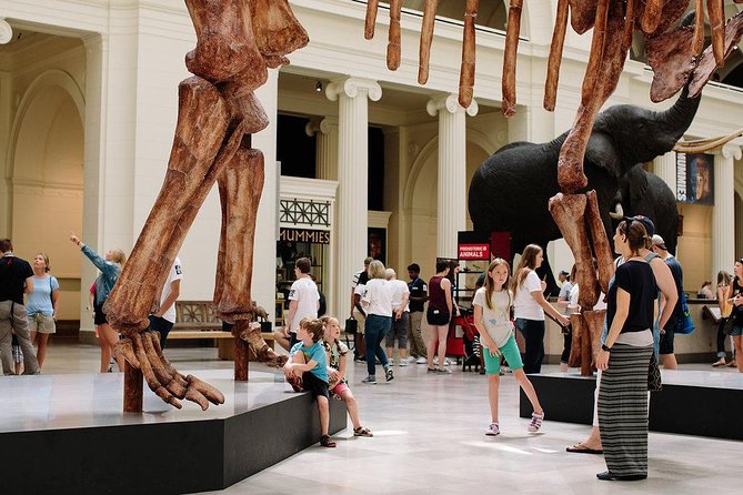 Field Museum of Natural History Admission Tickets - How long to stay and how to pace the visit
