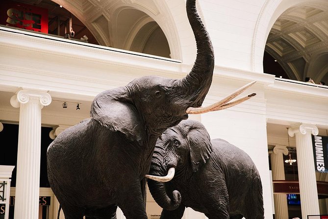 Field Museum of Natural History All-Access Pass - Key points to know before you go