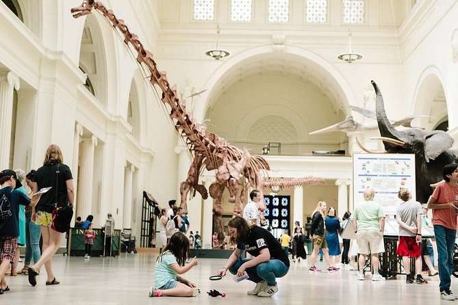 Field Museum of Natural History All-Access Pass - Ancient Egypt offers the museum’s most atmospheric history
