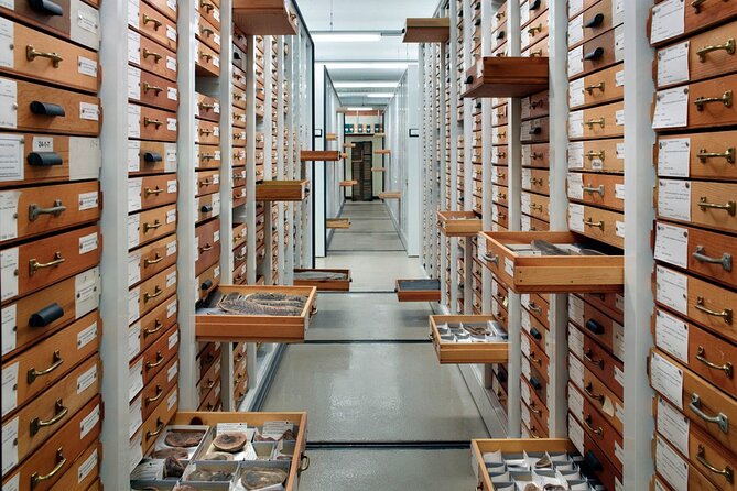 Field Museum of Natural History Early Access Ticket - The value of an almost empty museum