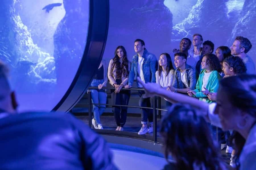 Flyover in Chicago: An Immersive Flying Theatre Experience - Who will enjoy Flyover Chicago most