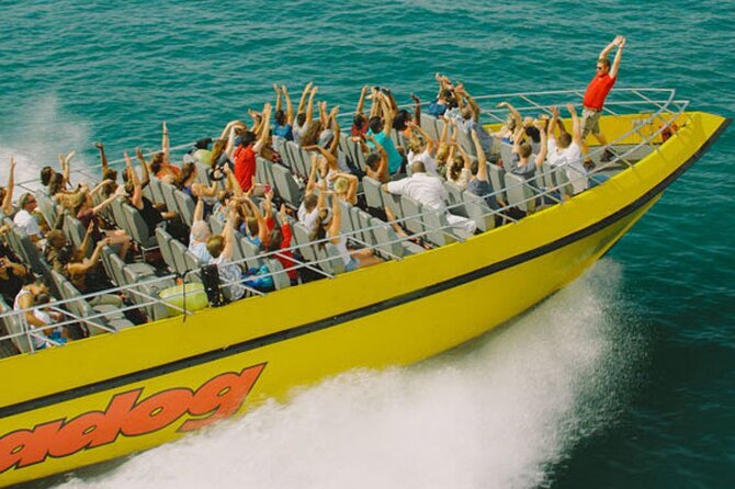 Lake Michigan 30-Minute Speedboat Ride - Finding Seadog at Navy Pier