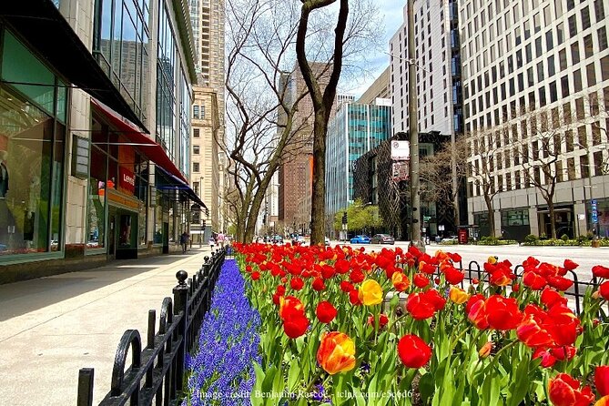Welcome to Chicago: Private Half-Day Tour with 360 Observation Deck - Who will get the most from this tour