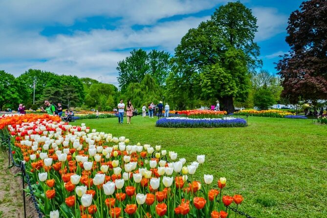 Windmill Island Gardens Day Tour from Chicago – Kids Save 50% - Key points to know before booking