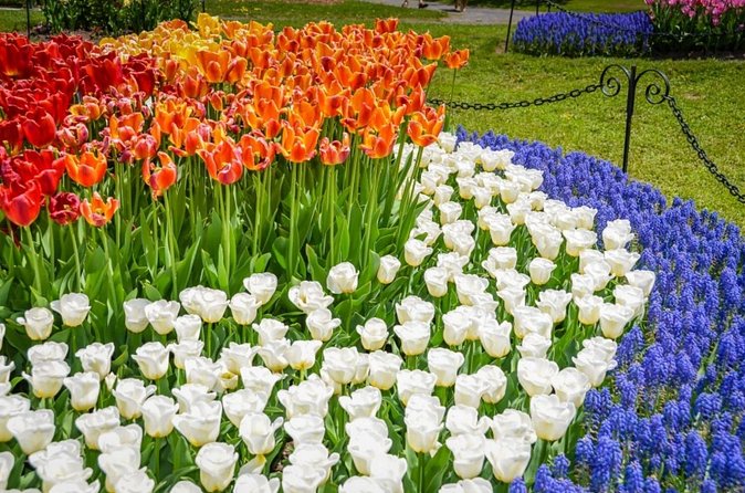 Windmill Island Gardens Day Tour from Chicago – Kids Save 50% - A Dutch day trip that reaches beyond Chicago